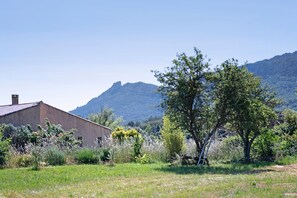 A rustic building with a sloped roof, surrounded by a grassy field and a tree.