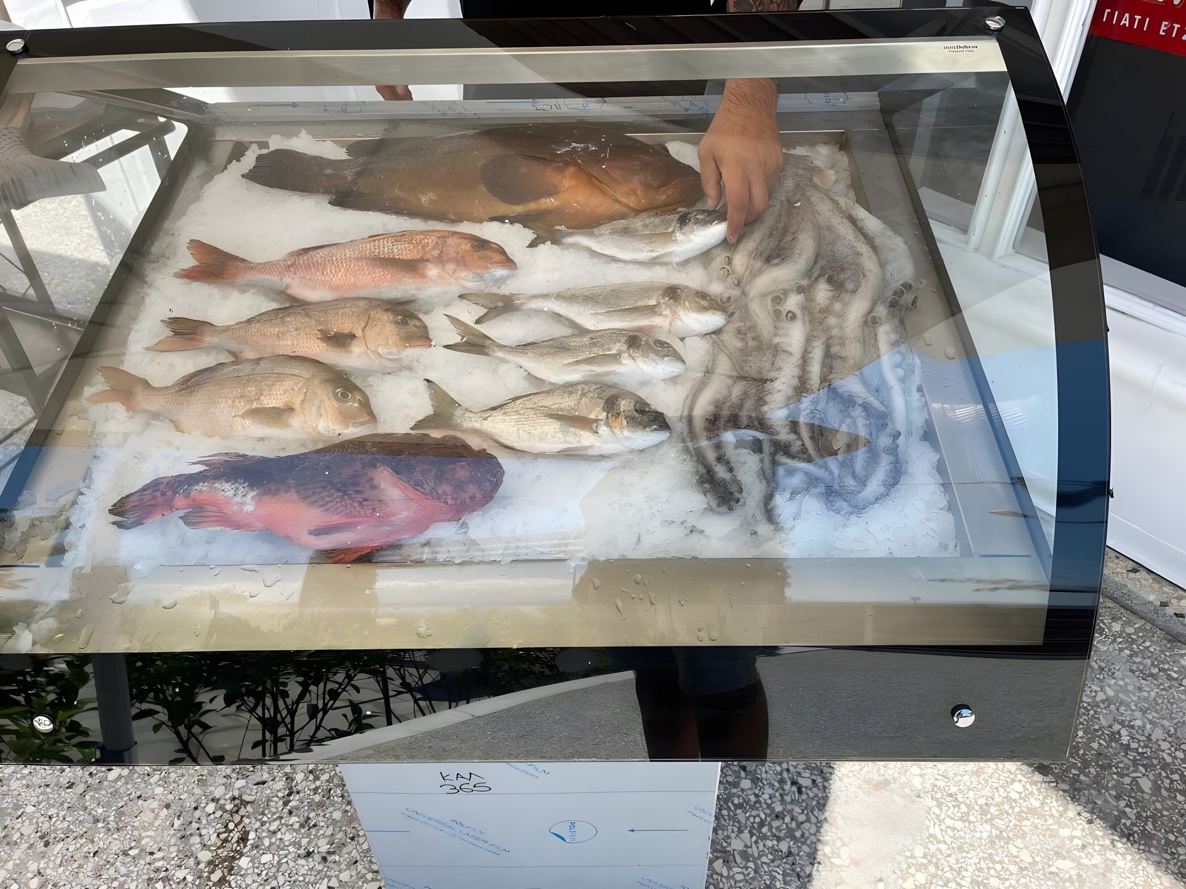 A seafood display with various fish on ice, a person reaching for a fish, and a sign with text.