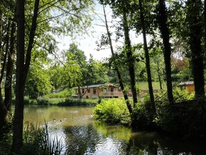 Property grounds - Kingfisher (Ross-on-Wye)