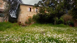 En bygning af sten med en have fyldt med hvide blomster.