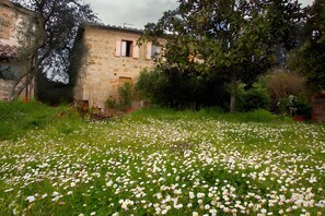 Property grounds - Casolare della Vigna Siena (Siena)