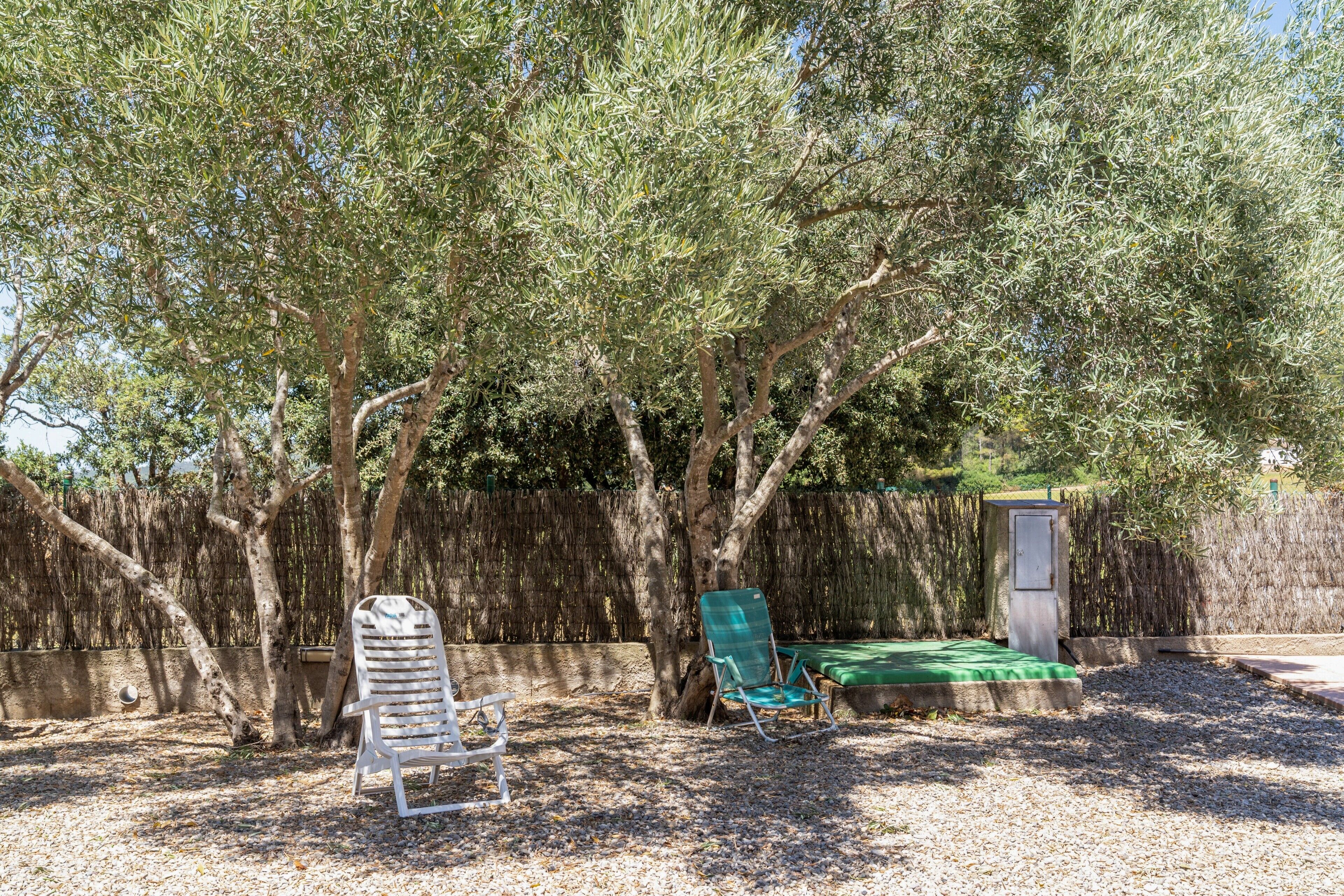 An outdoor seating area with two chairs, a bench, and a small structure.
