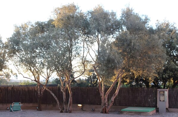 Un espace extérieur clôturé, agrémenté d’arbres, d’un banc et d’un coffret de raccordement.