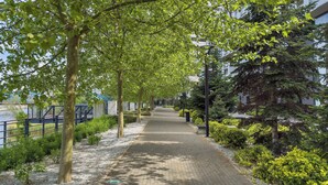 Askelteilla reunustettu, puilla ja pensailla varustettu kävelyreitti johtaa modernisti suunniteltuun rakennukseen.