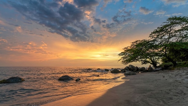A beach with rocks, a tree, and a sunset. - Luxury Apartment Suite With Ocean Views and Swimming Pools! (Santa Marta)