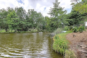 A pond surrounded by trees and vegetation, with a grassy area and a stone path leading to a bench.