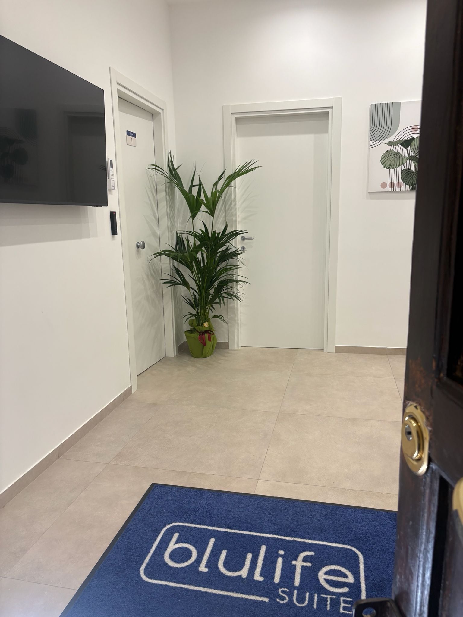 A hallway with a blue mat labeled 'blulife suite,' a potted plant, and a door with a lock.