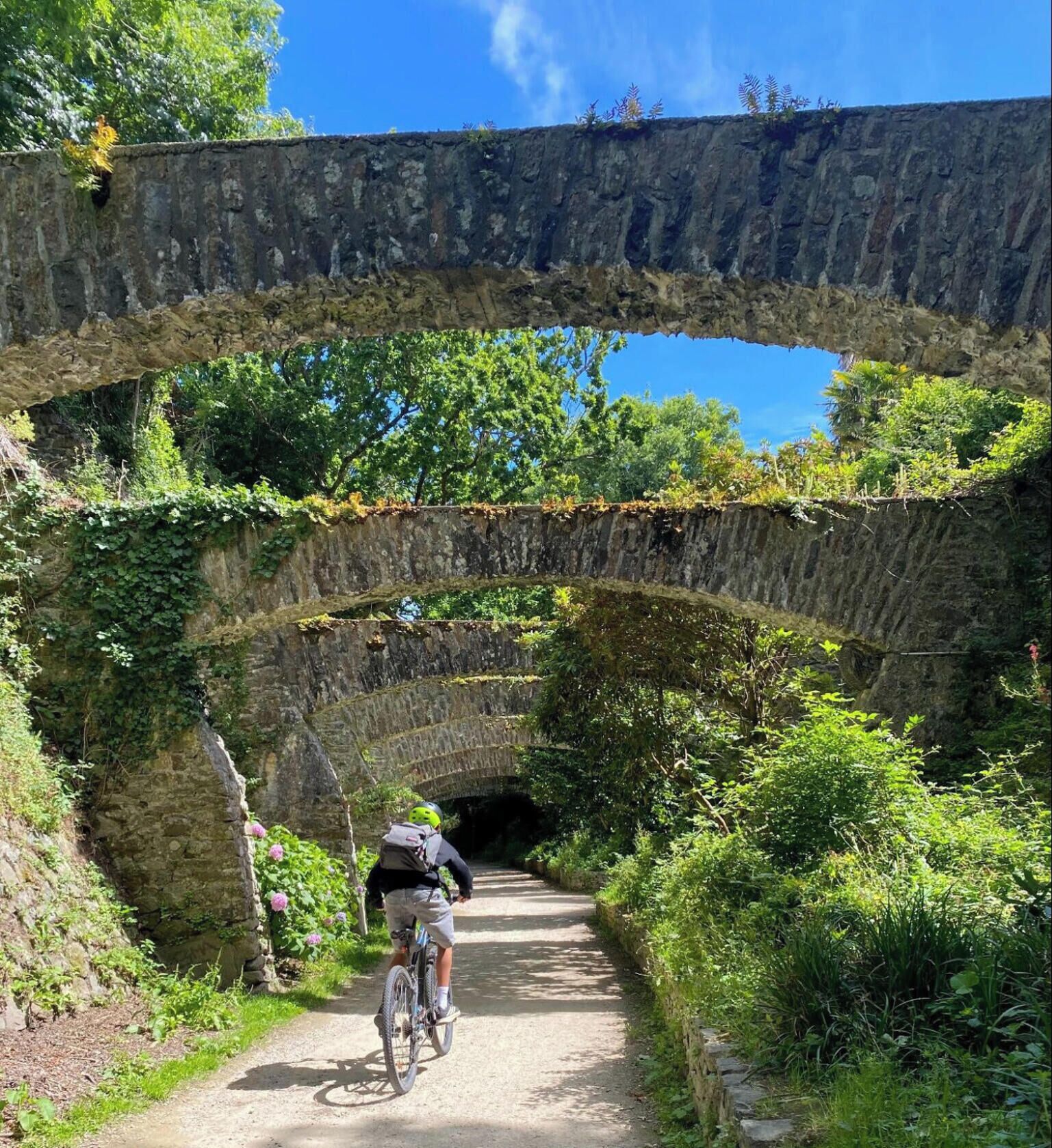 Ein Radfahrer auf einem Feldweg unter einer Steinbrücke, gesäumt von Grünpflanzen.
