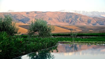 3 outdoor pools