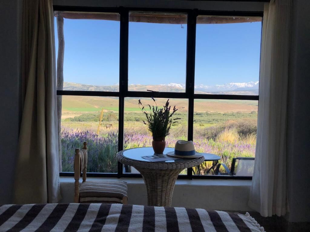 Bungalow, Air conditioning, Mountain View | In-room safe, blackout drapes, soundproofing, free WiFi