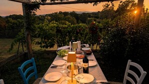 An outdoor dining table set with plates, glasses, and cutlery, surrounded by chairs, with a vineyard in the background. - Modern and refined country house (Bibbiena)