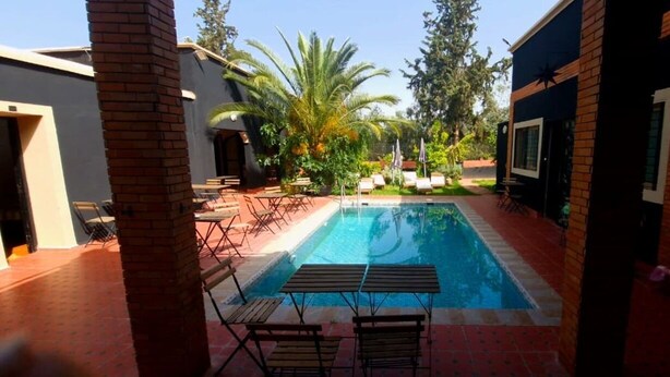 A swimming pool with lounge chairs, a brick wall, and a palm tree. - ferme les oliviers palais d'hôtes (Sidi Abdallah Ghiat)