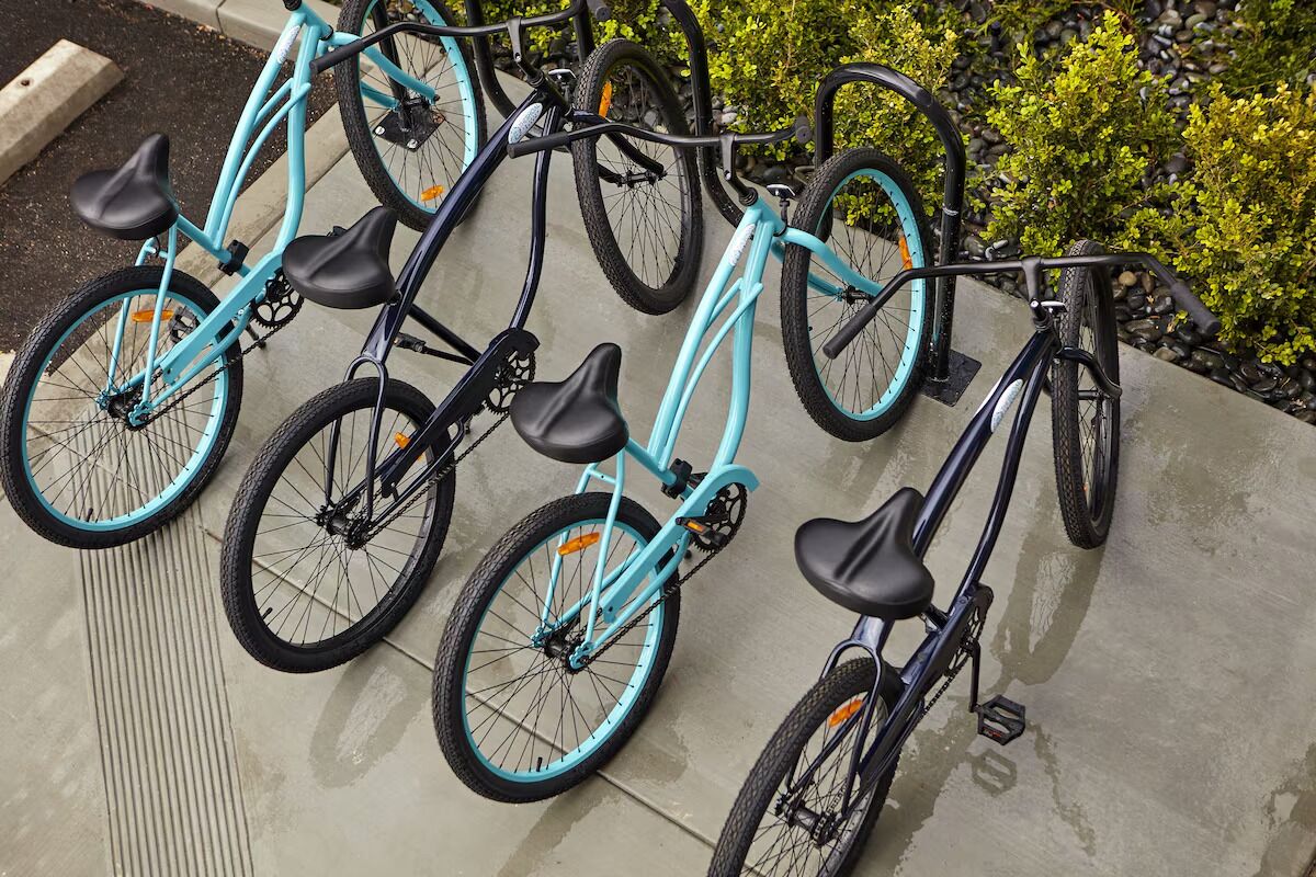 A row of bicycles parked on a concrete surface with greenery in the background.
