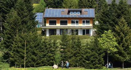 Ferienwohnung Tanne - gegenüber vom Ski-Lift mit eigener Terrasse, Garten und Blick ins Grüne