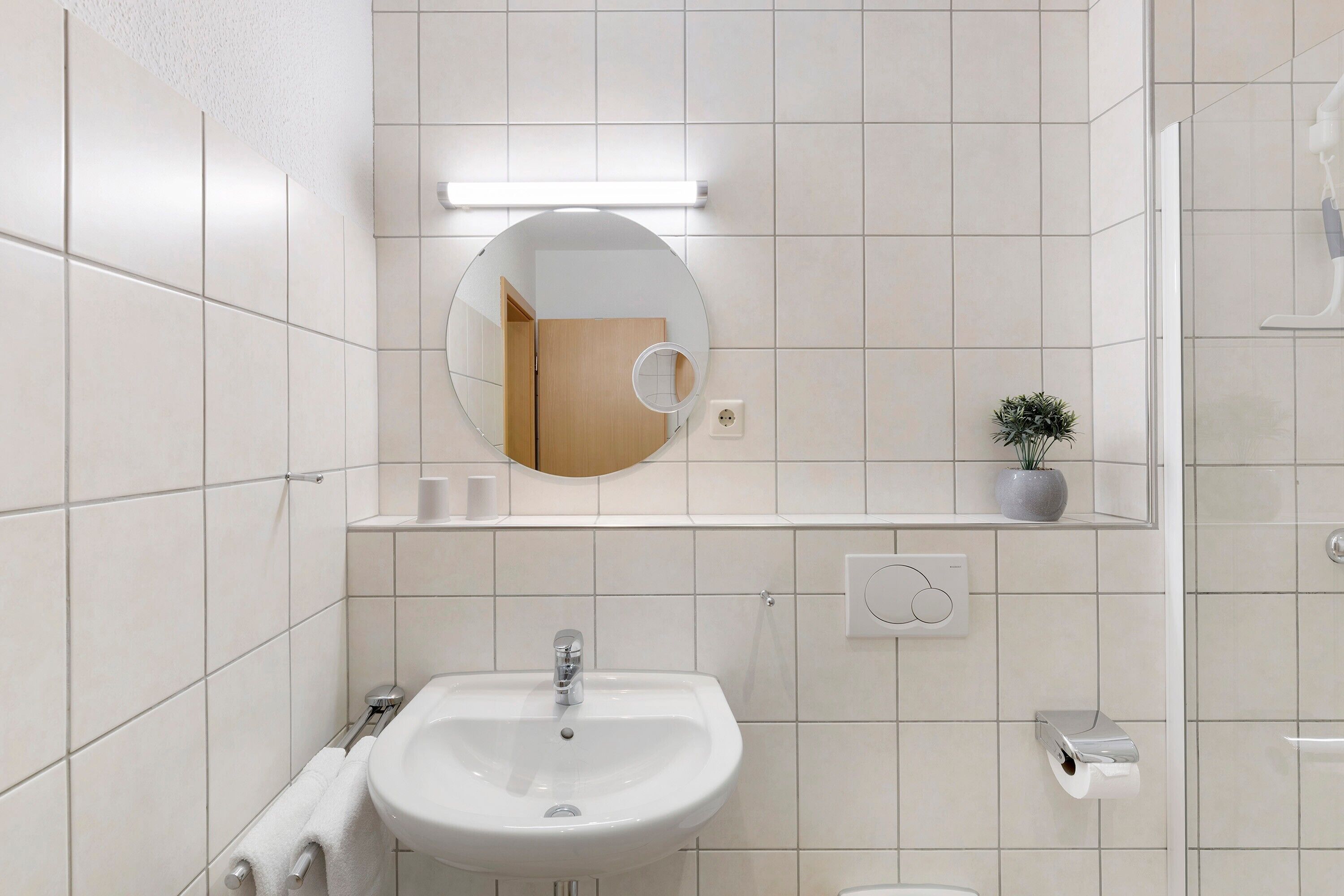 A bathroom with a sink, mirror, toilet paper holder, and a small potted plant.