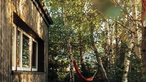 A wooden building with a window, a hammock, and a leaf-covered path.