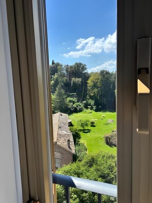 Vista a través de una ventana con balcón, que muestra un área con césped, árboles y un edificio de piedra.
