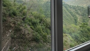 單人房 | 山景