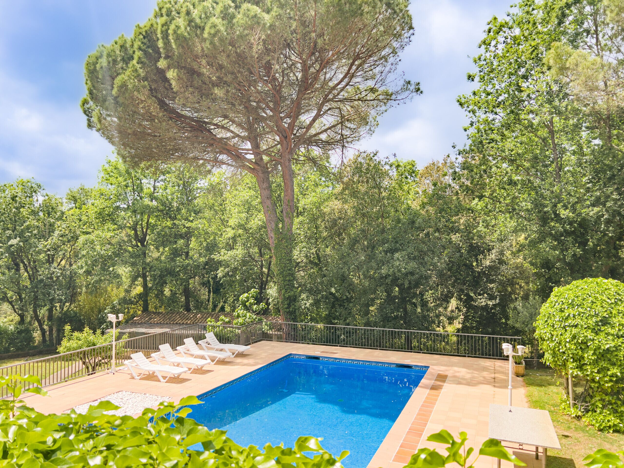 Piscina a l'aire lliure 