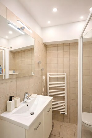 Shower, hair dryer, towels