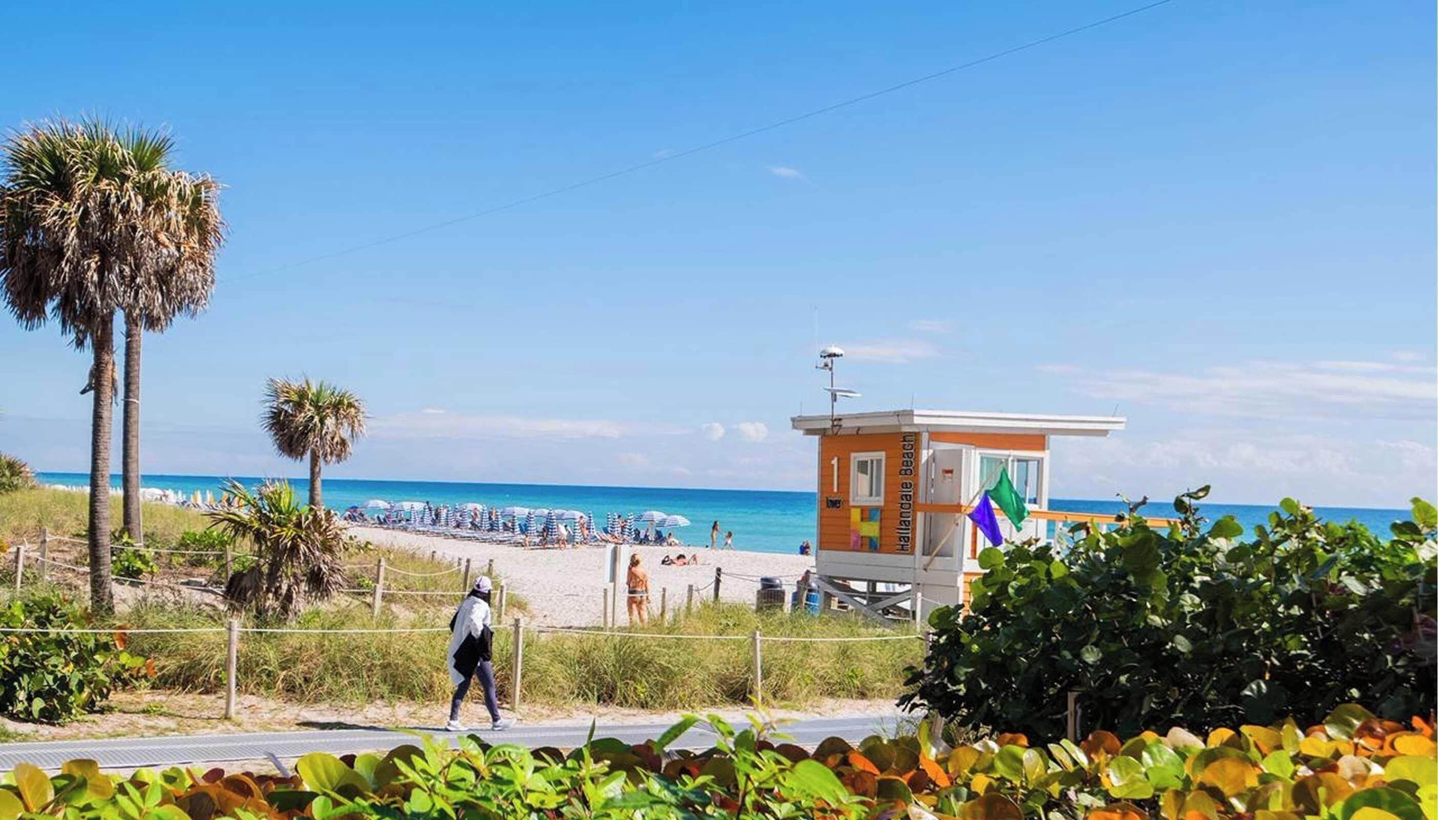 Une plage avec une tour de surveillance, des parasols et des palmiers.