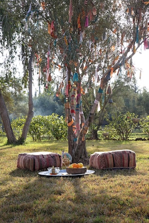 Een picknick onder een boom met hangende decoraties, een deken, kussens en een fruitschaal.