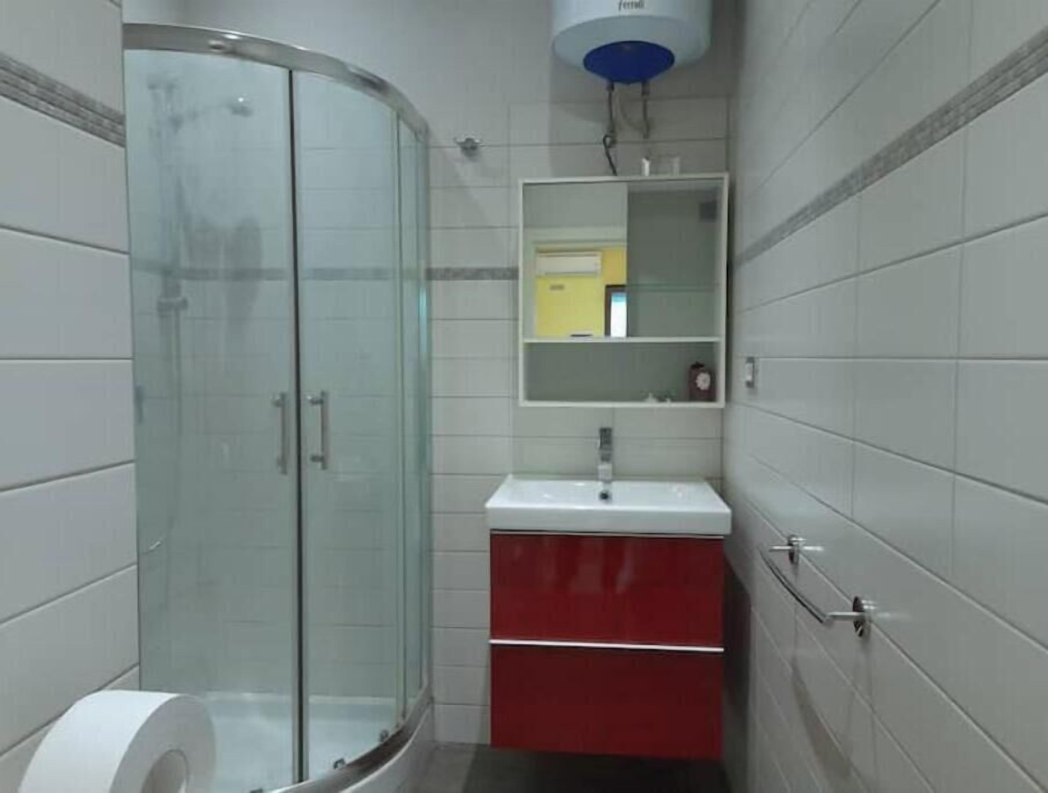 Shower, hair dryer, bidet, towels