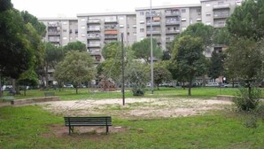 En park med en bänk, träd och en lekplats.