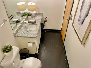 Bathroom - A Rare Opportunity for the FIFA World Cup 2026 in Atlanta (Atlanta)