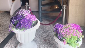 Een moderne hotelentree met een spiraaltrap, plantenbakken en een zithoek.