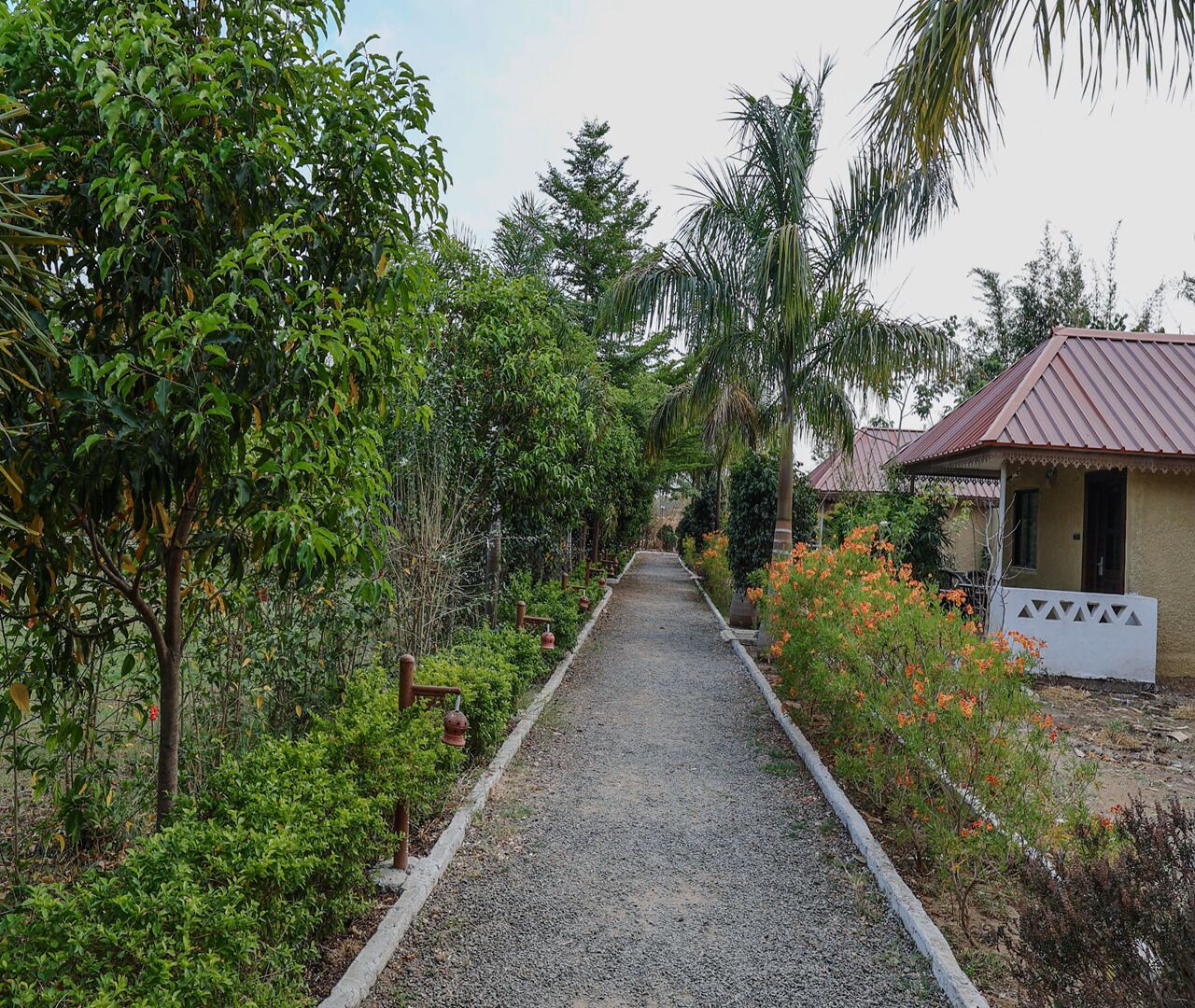 A pathway leading to a building with a red roof, surrounded by lush greenery and a variety of plants.