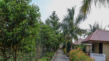 A pathway leading to a building with a red roof, surrounded by lush greenery and a variety of plants.