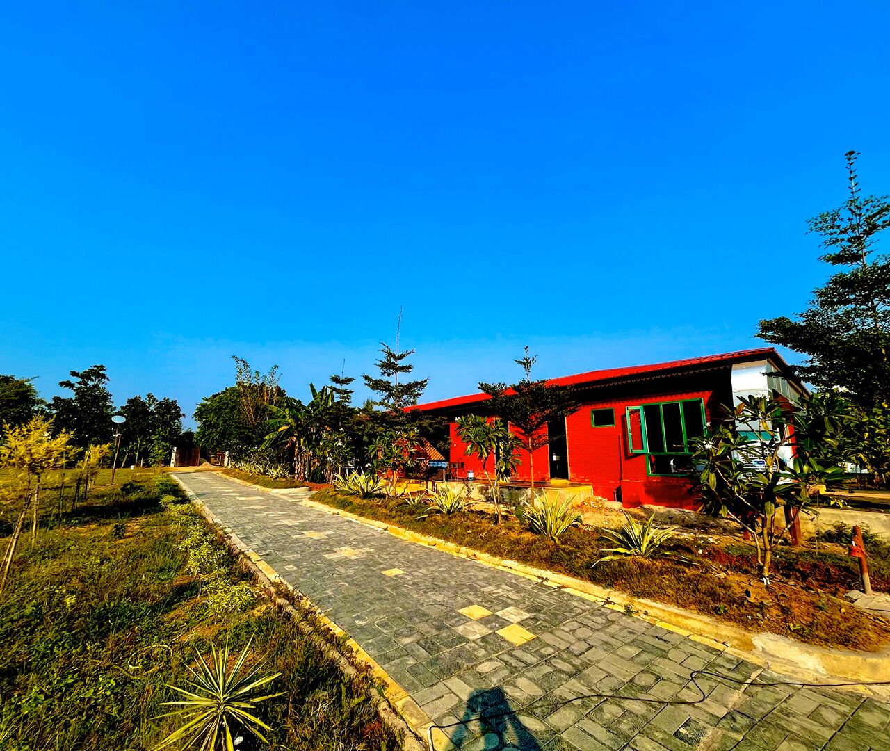 A red building with a paved pathway leading to it, surrounded by greenery.