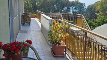 Terras