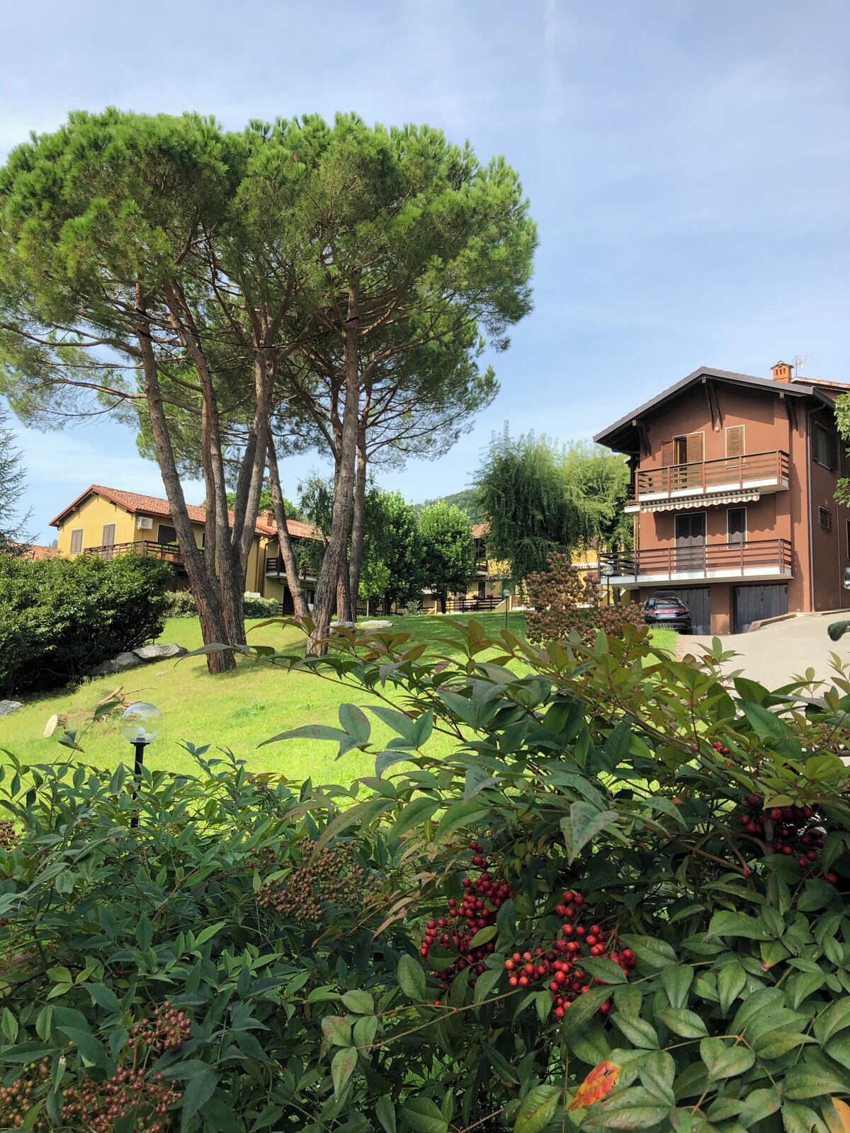 Image de profil de l’hôte