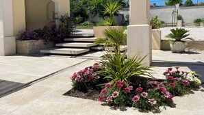 Un patio con una pérgola, escalones que conducen a una zona cubierta y diversas plantas y flores.