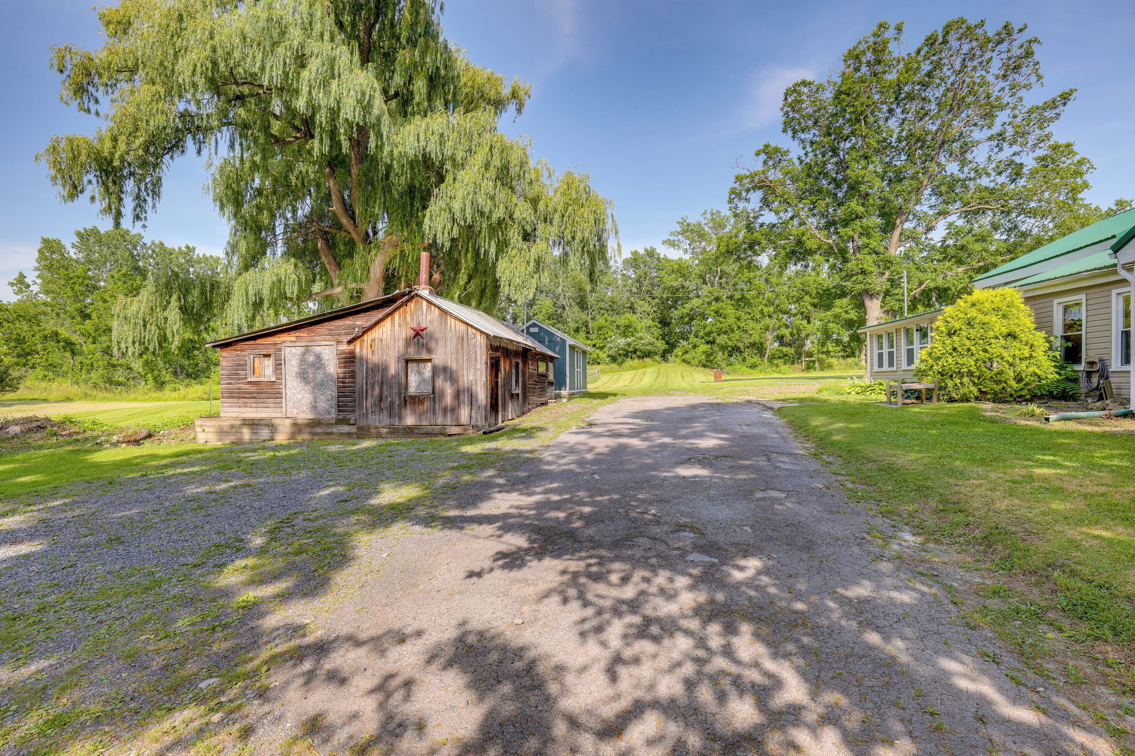 A rustic wooden cabin with a porch, surrounded by lush greenery and trees.