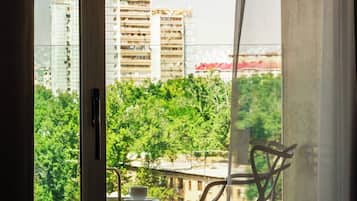 Apartment, City View | Balcony