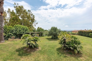 A well-maintained garden with a pergola, various shrubs, and a view of a distant building.