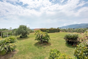 A well-maintained garden with various plants and a building in the background.
