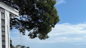 Ein Strand mit Picknicktisch, Holzlattenzaun und einem Haus mit Wimpel.