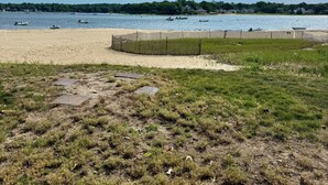 Ein Strand mit sandigem Ufer, einer Rasenfläche mit Zaun und blauem Himmel.