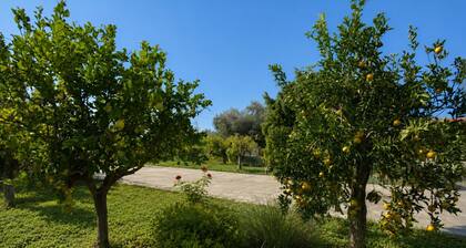 Stunning private villa with private pool, WIFI, A/C, TV, patio, pets allowed and panoramic view