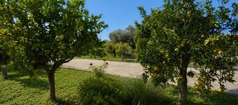 Stunning private villa with private pool, WIFI, A/C, TV, patio, pets allowed and panoramic view