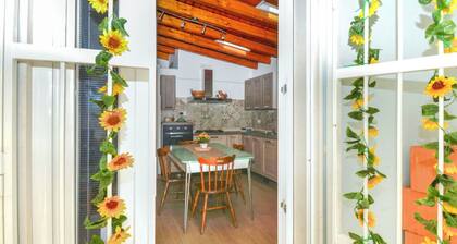 Stunning private villa with private pool, WIFI, A/C, TV, patio, pets allowed and panoramic view