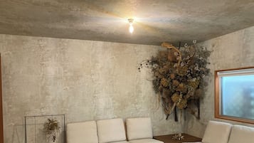 House, Non Smoking | Living area