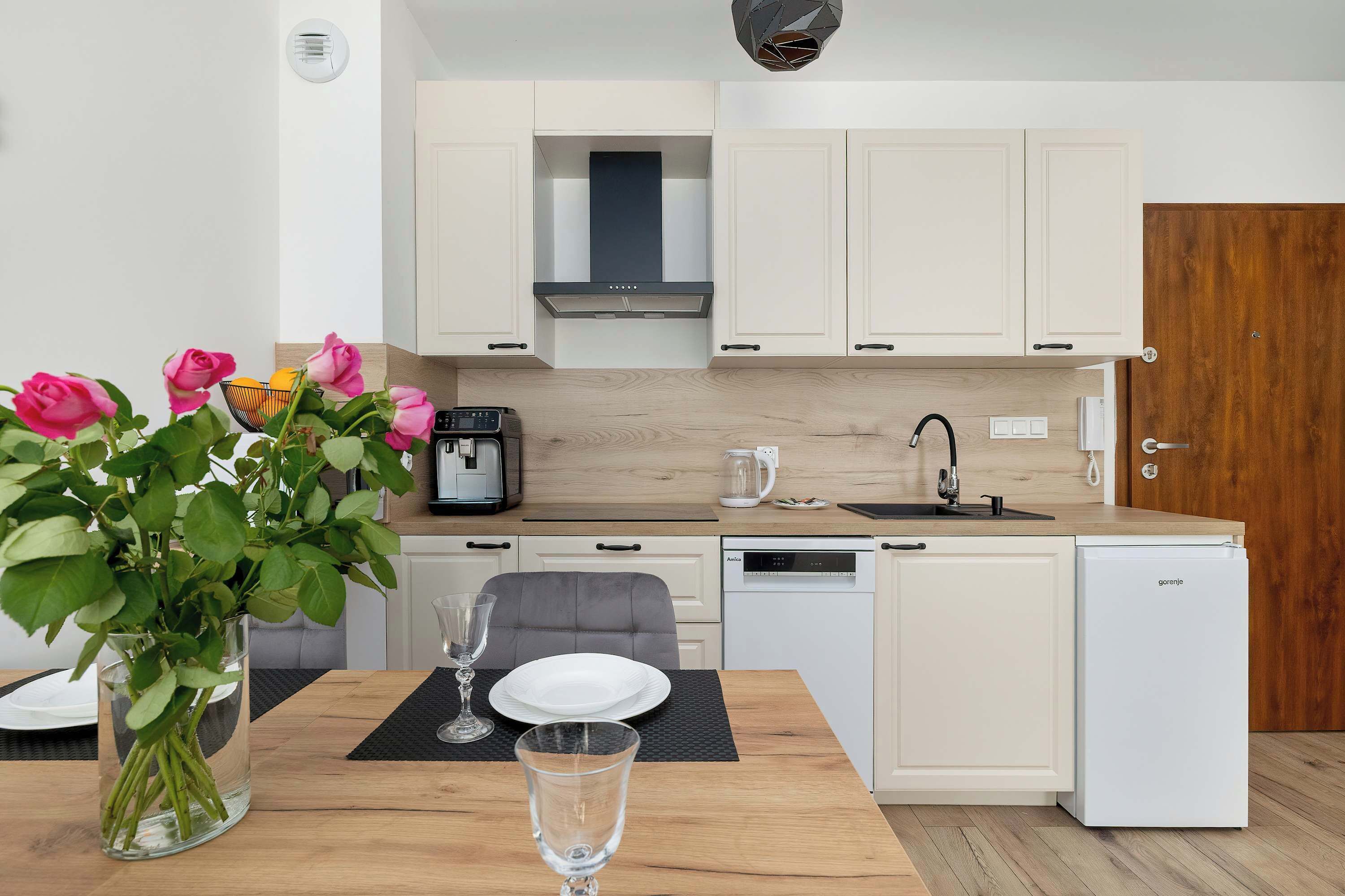 Fridge, microwave, stovetop, dishwasher