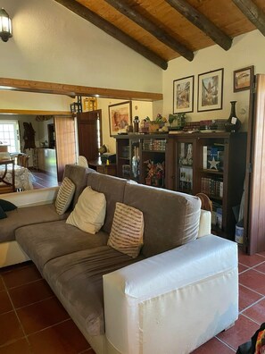TV, fireplace, video games, DVD player - Monte dos Pintos – Arronches: Rural Retreat in Serra de São Mamede (Parra)