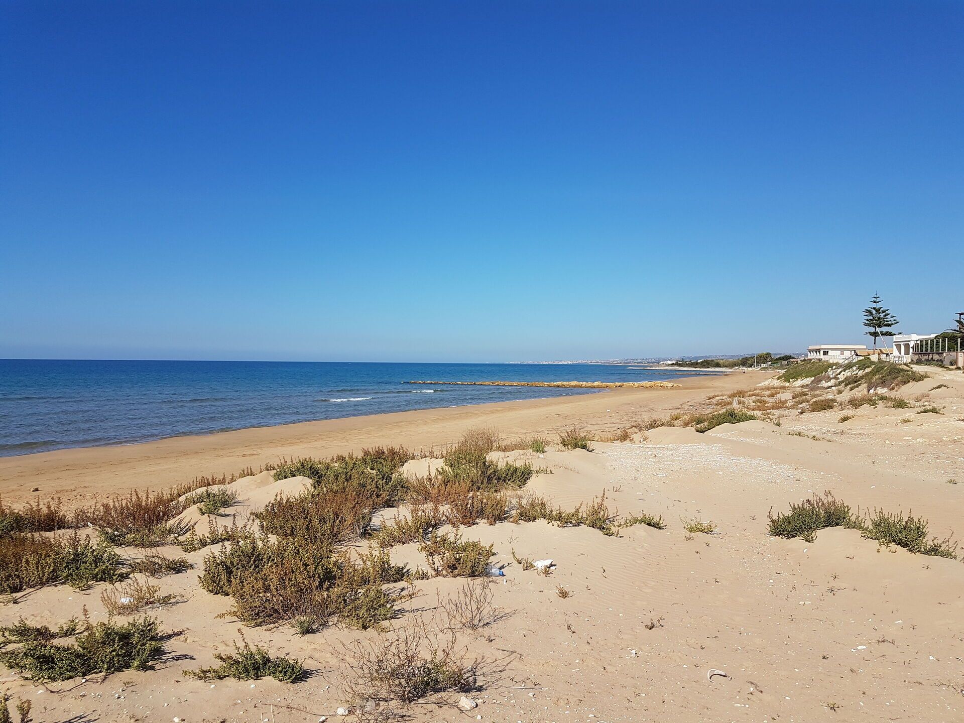 Strand
