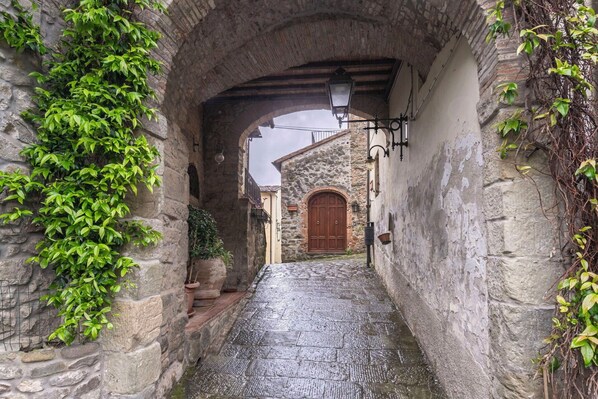 Exterior detail - Beautiful villa for 6 people with WIFI, TV, veranda and pets allowed, close to Lucca (Collodi)